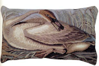 Audubon Collection - Trumpeter Swan