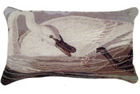 Audubon Collection - Swimming Trumpeter Swan